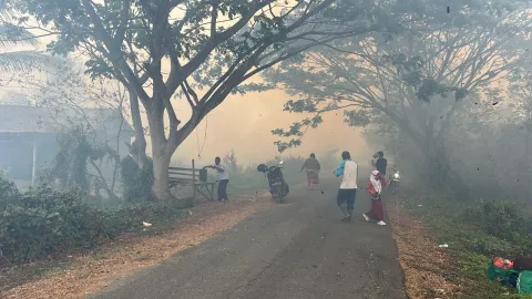 Foto 1 dari 1, Kebakaran Hutan dan Lahan di Kelurahan Batulicin