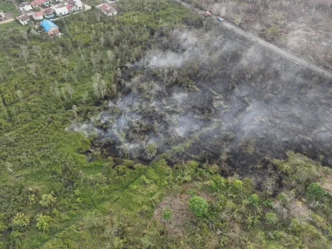 Foto 1 dari 1, Kebakaran Hutan dan Lahan di Kelurahan Batulicin